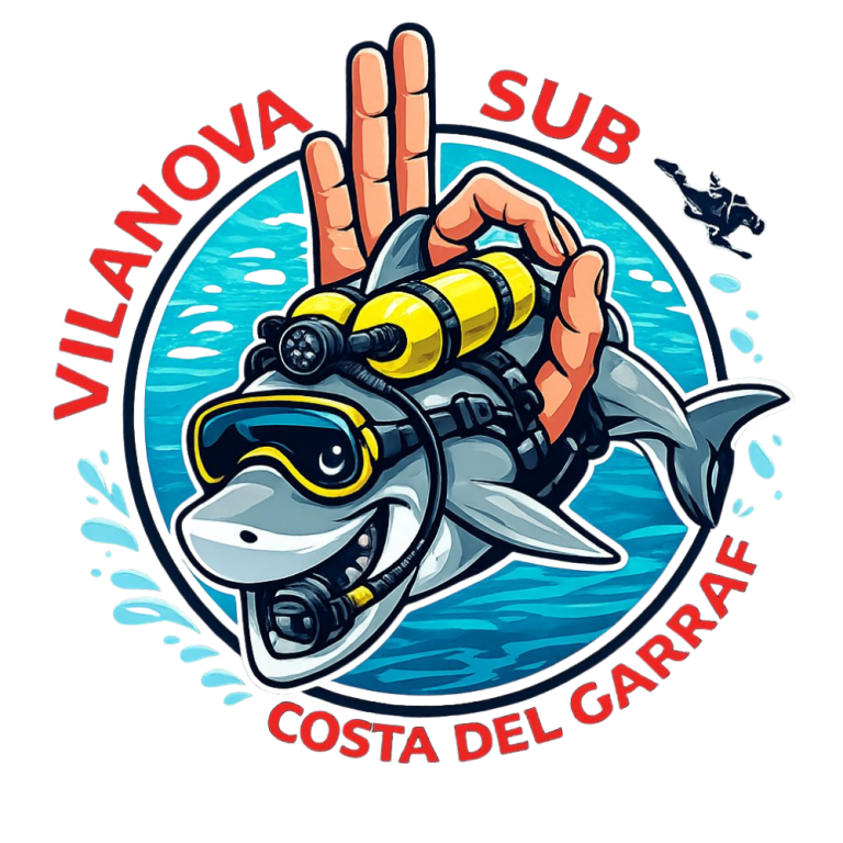 VilanovaSub VilanovaSub